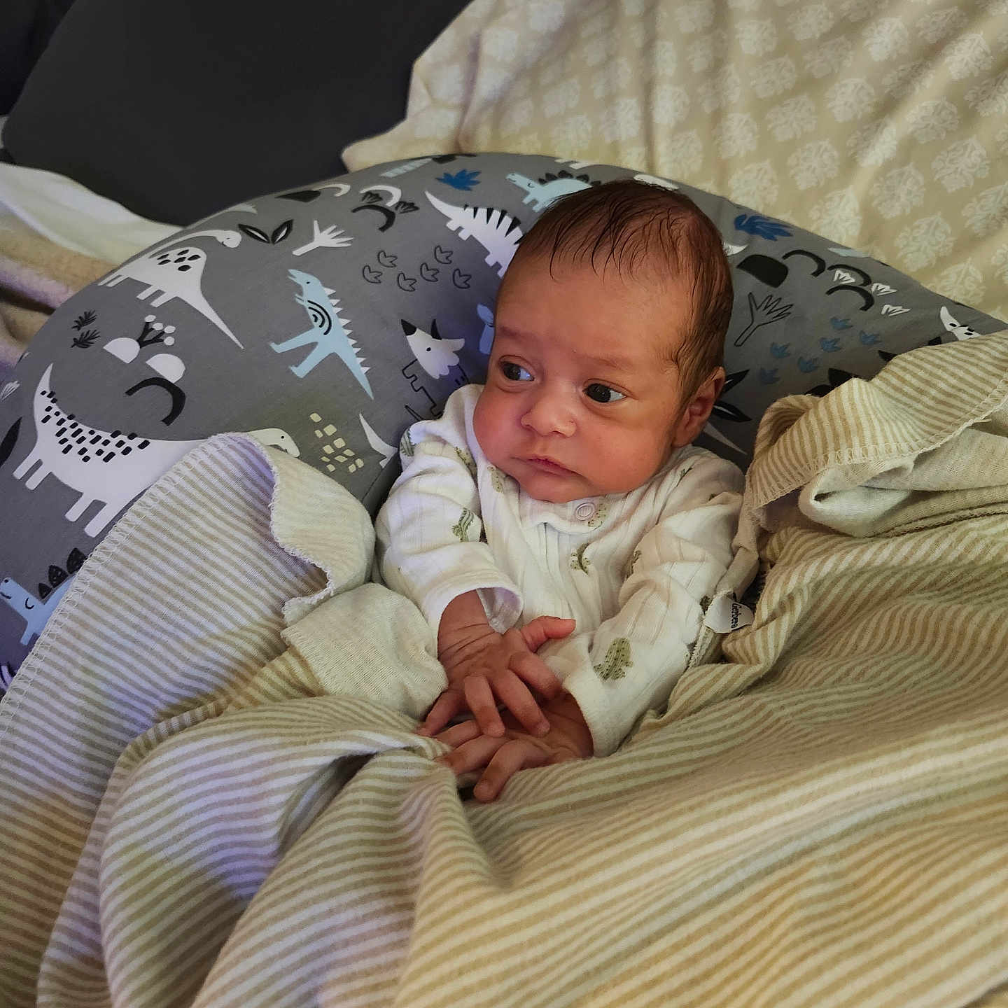Levi is registered to the contest to win money with this photo: baby, bed, blanket, bodypart, couch, crib, cushion, face, finger, furniture, hand, head, homedecor, infantbed, linen, newborn, person, photography, portrait, quilt