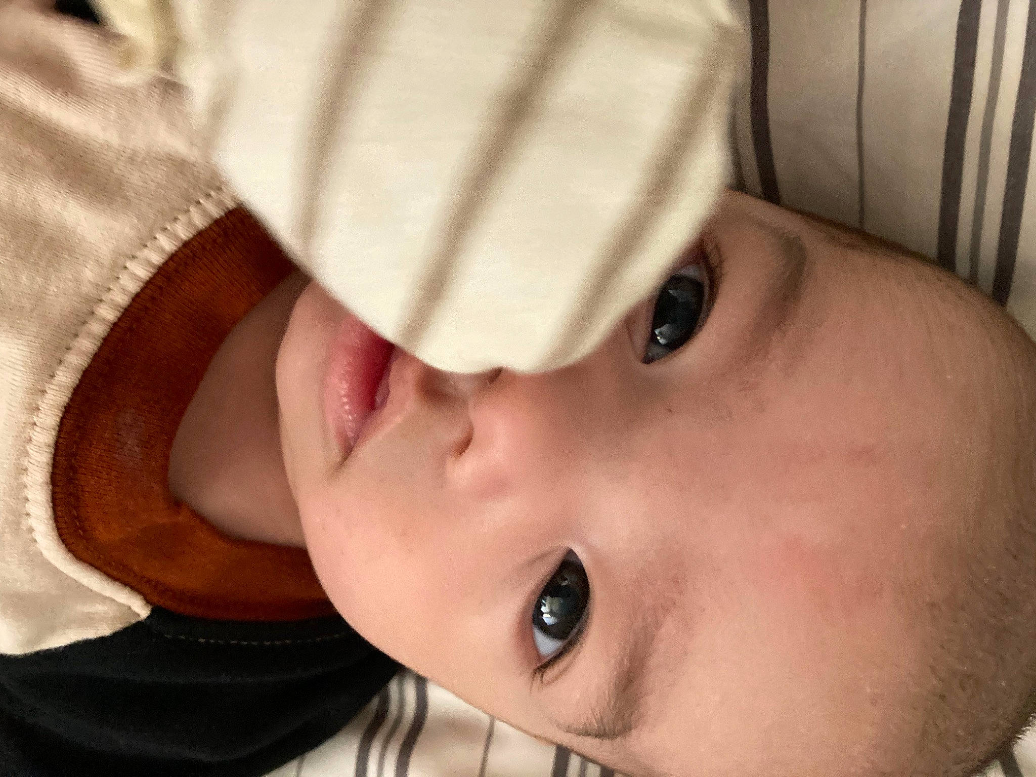 Imre joined the competition — help win amazing prizes! baby, cheek, child, chin, close_up, comfort, ear, eyebrow, eyelash, facial_expression, finger, gesture, happy, headgear, lip, mouth, nose, person, skin, sleeve
