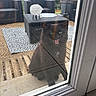cat, black_cat, fluffy, long_hair, open_mouth, green_eyes, animal, pet, outdoor, patio, garden, wicker_furniture, chair, table, outdoor_rug, glass_door, doorway, wooden_deck, potted_plant, portrait