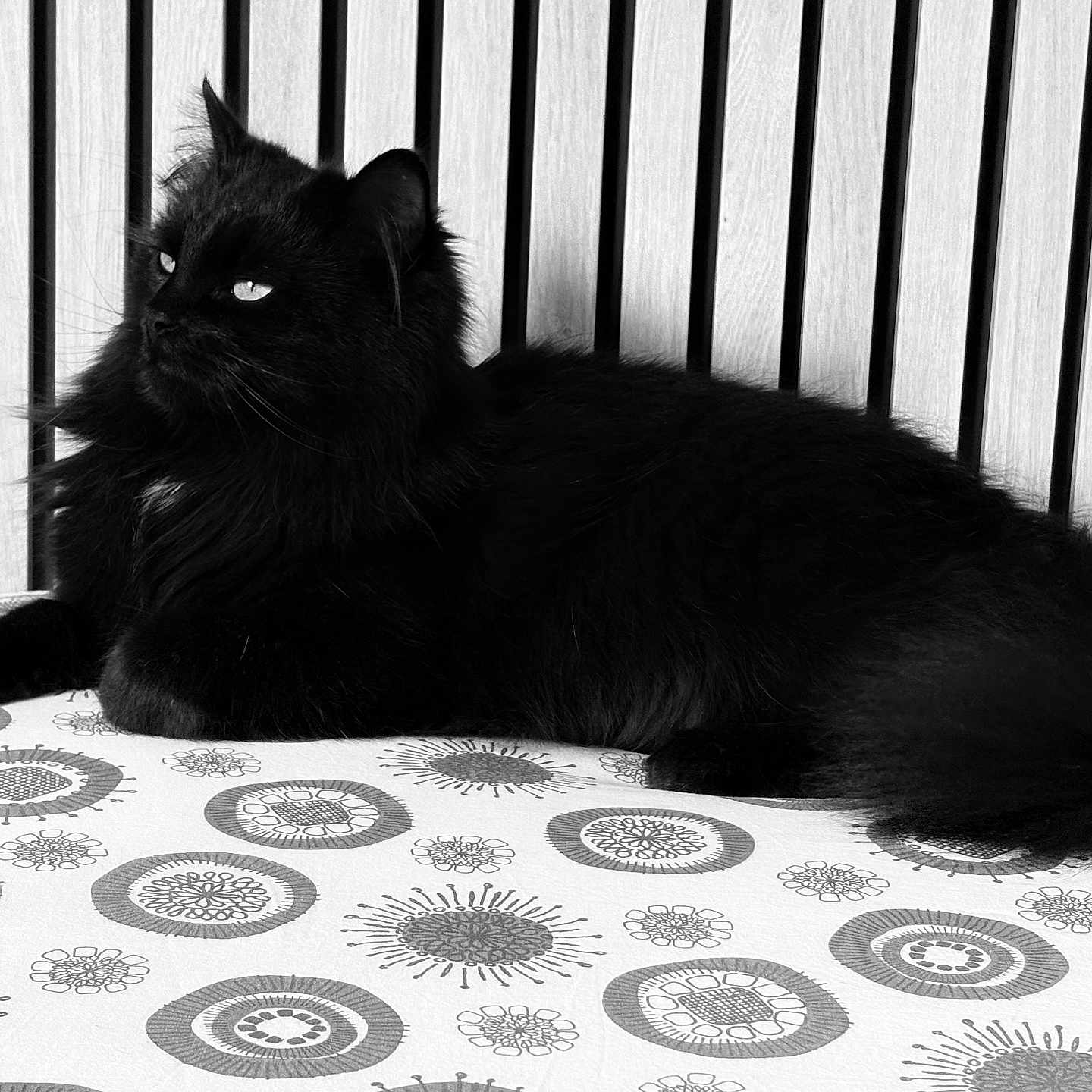 Abby