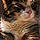 Margot