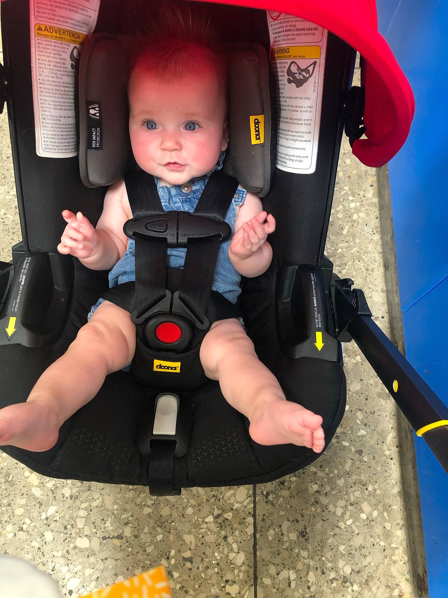 Crimson joined the competition — help win amazing prizes! auto_part, baby, baby_carriage, baby_products, baby_safety, baby_toddler_clothing, car_seat, carmine, child, fun, lap, motor_vehicle, person, personal_protective_equipment, plastic, red, service, sitting, thigh, thumb