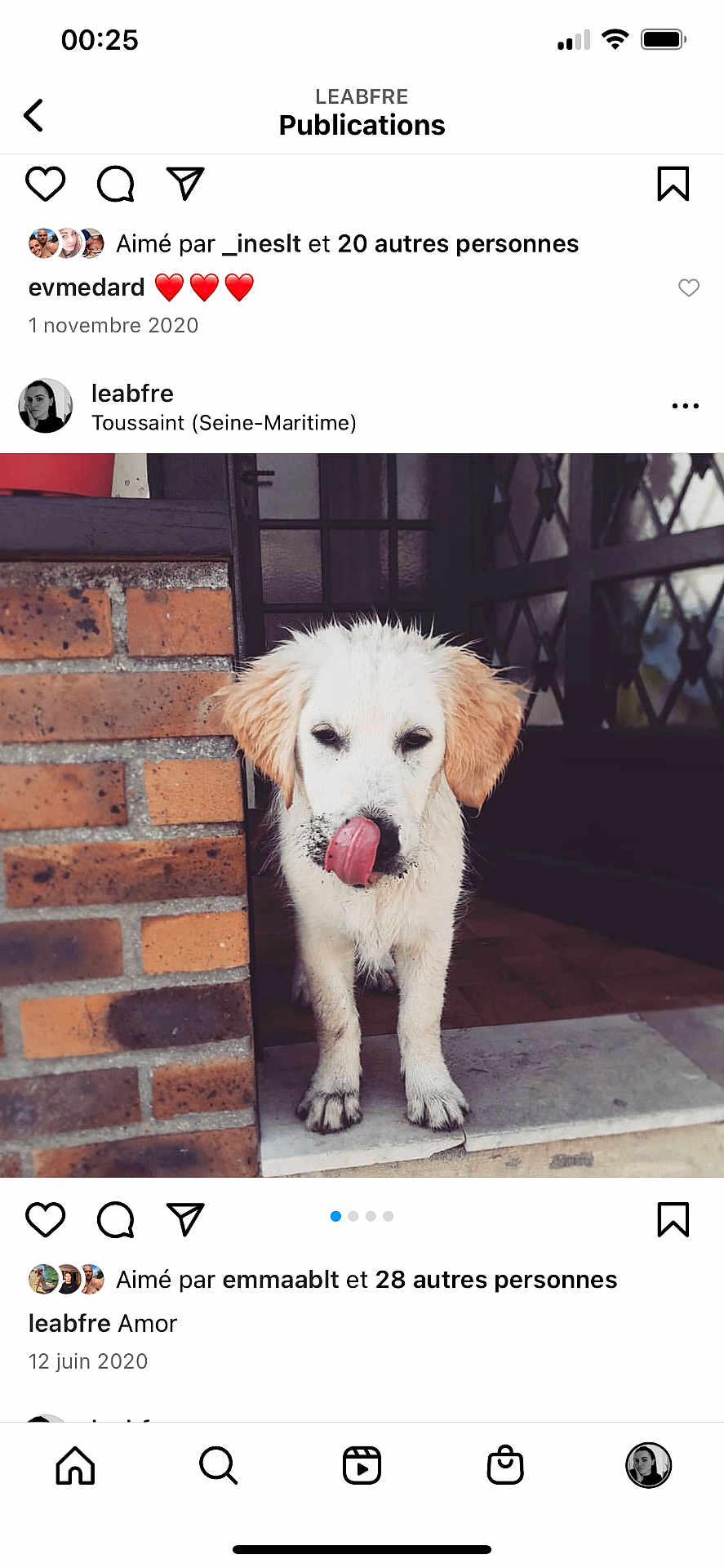 Jude a rejoint le concours — aidez-le/la à gagner de superbes lots ! puppy, dog, muddy, tongue, doorstep, brick_wall, floppy_ears, white_dog, outdoor, pet, young_dog, animal, cute, playful, licking, front_paws, door, home, domestic_animal, standing