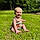 Ava-Lee