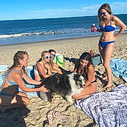 Bond is registered to the contest to win money with this photo: beach, canine, dog, footwear, friends, fun, happy, ocean, outdoor, people, relaxation, sand, summer, sunglasses, sunlight, sunshine, swimsuit, towel, vacation, waves
