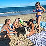 beach, canine, dog, footwear, friends, fun, happy, ocean, outdoor, people, relaxation, sand, summer, sunglasses, sunlight, sunshine, swimsuit, towel, vacation, waves