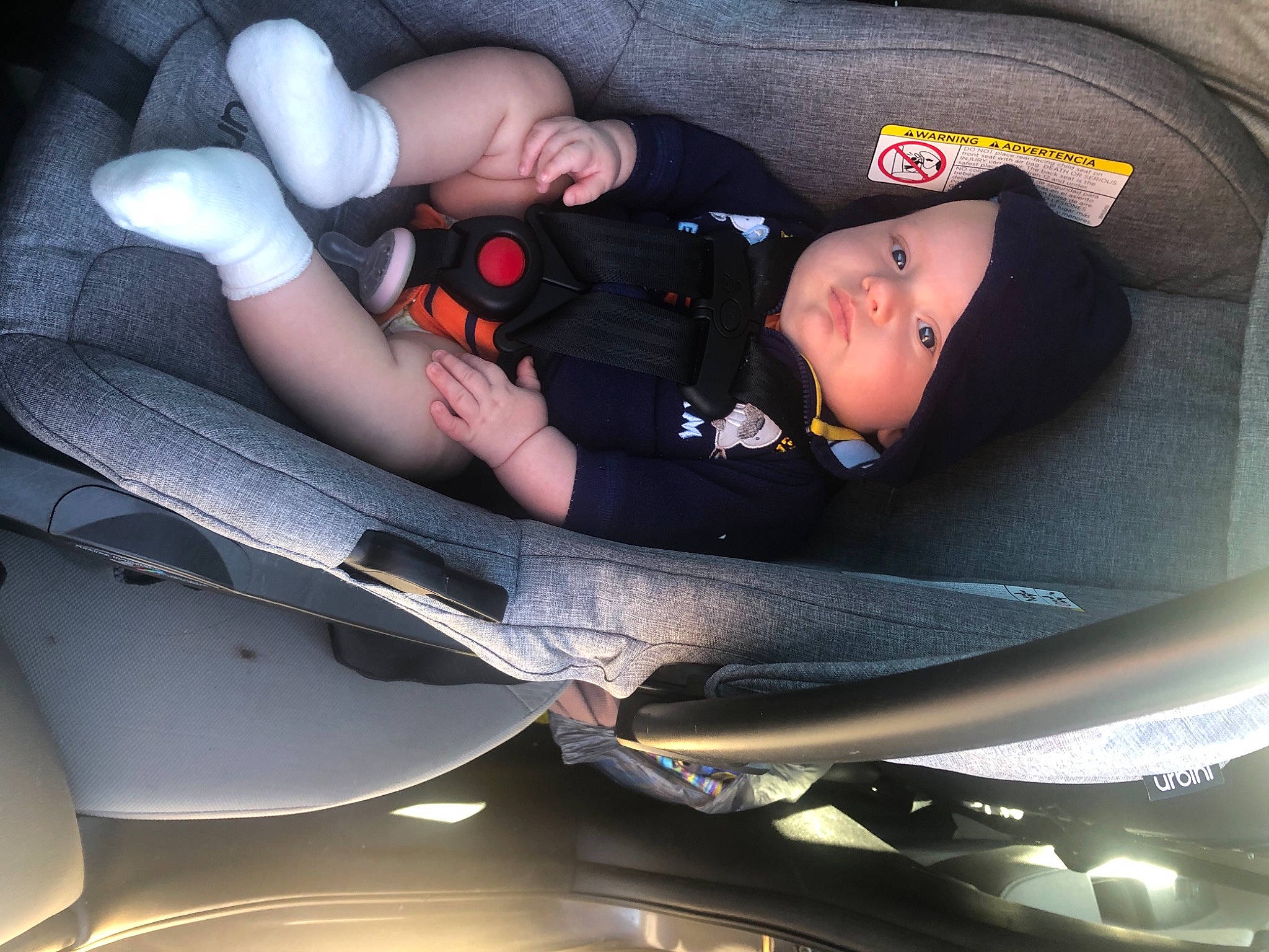 Robbie joined the competition — help win amazing prizes! auto_part, baby, car, car_seat, child, headwear, person, seat_belt