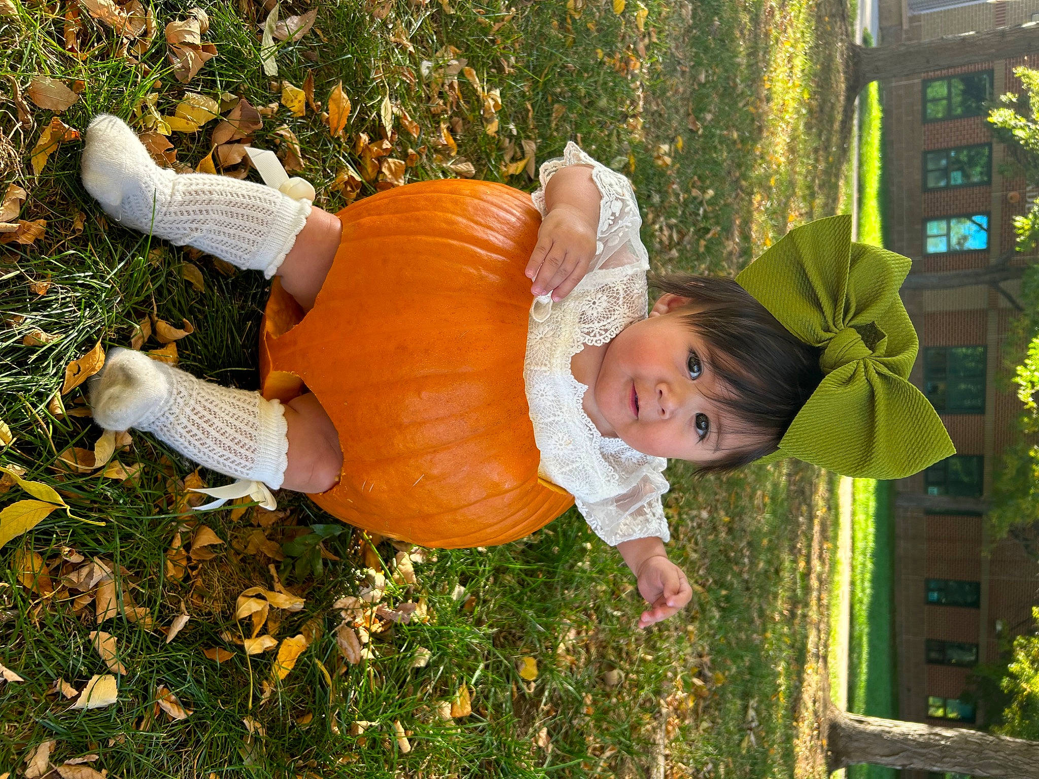 Everlee is registered to the contest to win money with this photo: baby_toddler_clothing, botany, calabaza, child, fun, garden, grass, happy, hat, holiday, lawn_ornament, leisure, people_in_nature, person, plant, pumpkin, toddler, tree, vegetable, wood