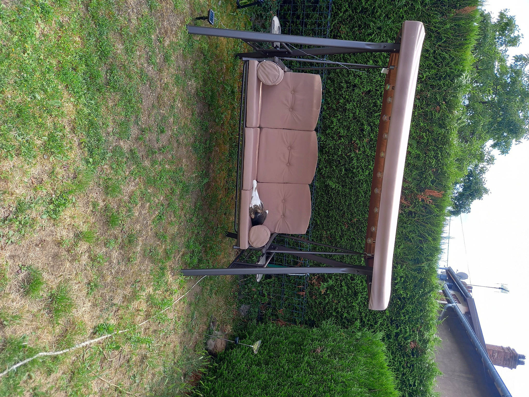 Lilou a rejoint le concours — aidez-le/la à gagner de superbes lots ! automotive_exterior, grass, groundcover, landscape, machine, motor_vehicle, plant, shrub, sky, soil, tire, tree, wheel, wood, yard