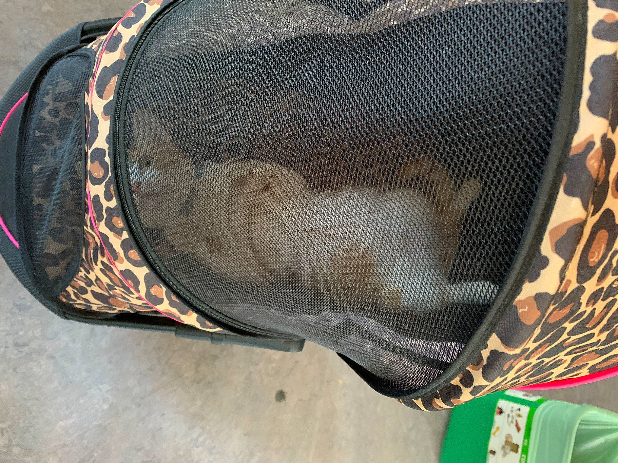 Tempurra is registered to the contest to win money with this photo: auto_part, automotive_exterior, automotive_lighting, bag, baggage, carbon, fashion_accessory, grille, luggage_and_bags, mesh, metal, musical_instrument, pattern, tints_and_shades