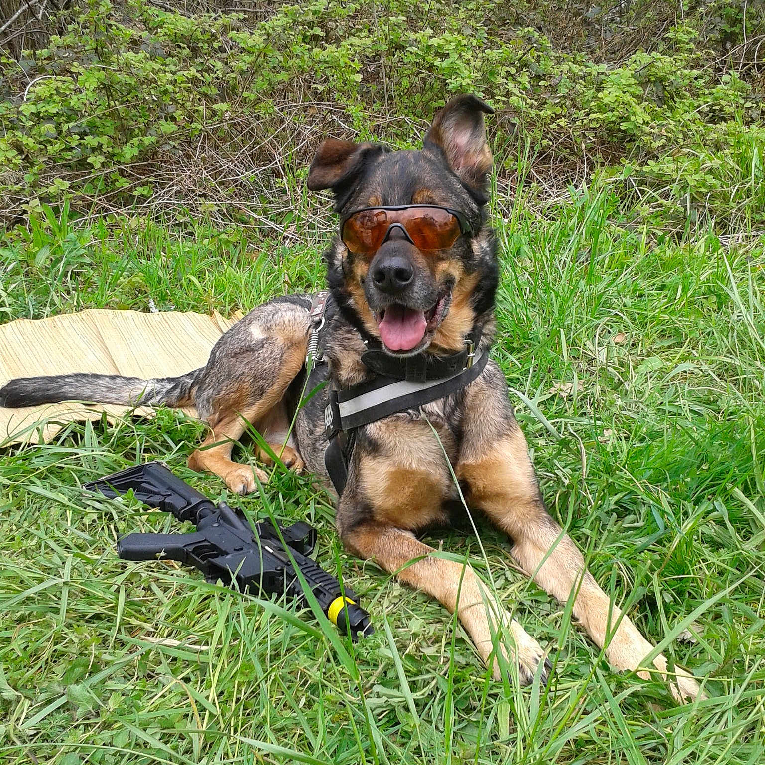 Maxy