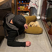Pouf a rejoint le concours — aidez-le/la à gagner de superbes lots ! dog, person, kitchen, floor, cushion, sleeping, indoors, home, furniture, chair, table, cabinet, drawer, groceries, vegetables, towel, tile, reflection, cozy, humorous