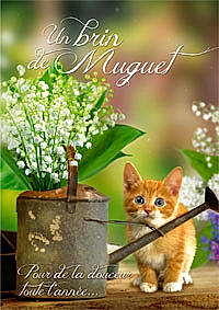 Opale a rejoint le concours — aidez-le/la à gagner de superbes lots ! art, carnivore, cat, fawn, felidae, flower, flowerpot, font, grass, groundcover, houseplant, internet_meme, nature, plant, small_to_medium_sized_cats, snout, tail, terrestrial_animal, whiskers, wildlife