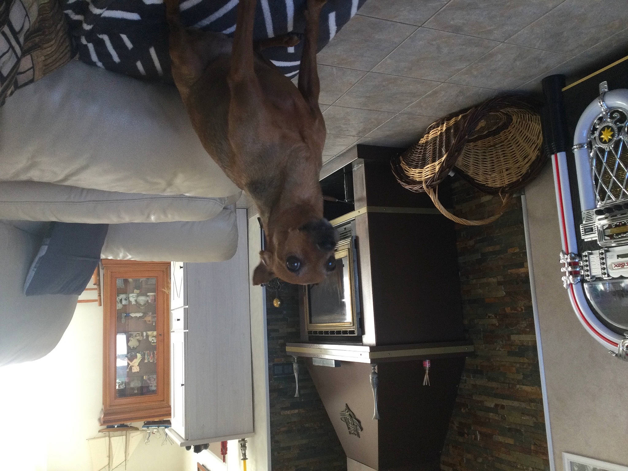 Opale participe au concours pour gagner de l'argent avec cette photo : automotive_tire, bicycle_fork, bicycle_handlebar, bicycle_saddle, bicycle_tire, bicycle_wheel, building, ceiling, crankset, curtain, house, hybrid_bicycle, metal, rim, room, tire, wheel, white, window, wood