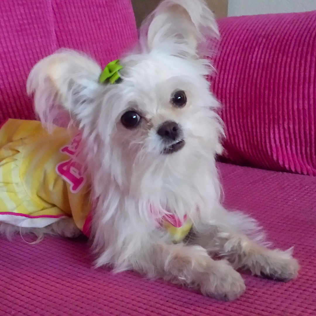 Minny
