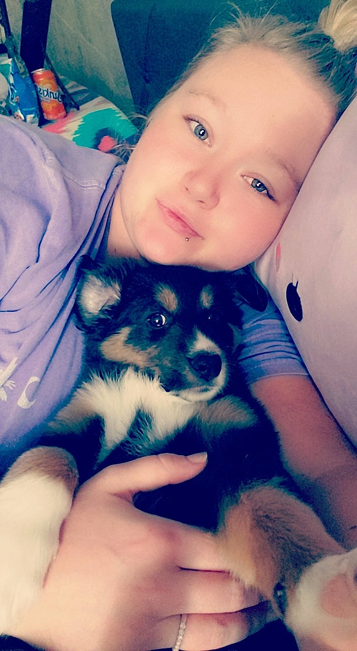 Ace joined the competition — help win amazing prizes! canidae, carnivore, child, companion_dog, dog, dog_breed, mammal, nose, puppy, puppy_love, siberian_husky, skin