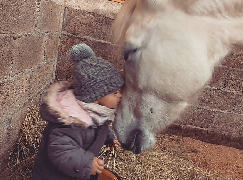 Héléna participe au concours pour gagner de l'argent avec cette photo : brick, brickwork, cobblestone, fur, horse, livestock, pack_animal, person, pony, snout, stable, stall, vertebrate, working_animal