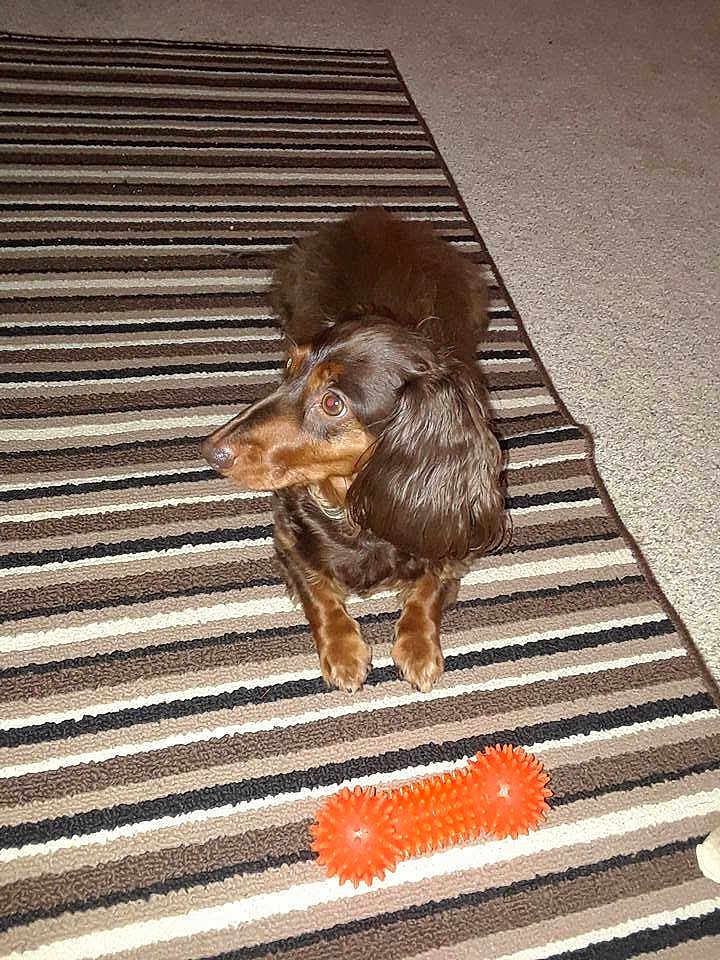 Heidi