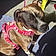 Lola