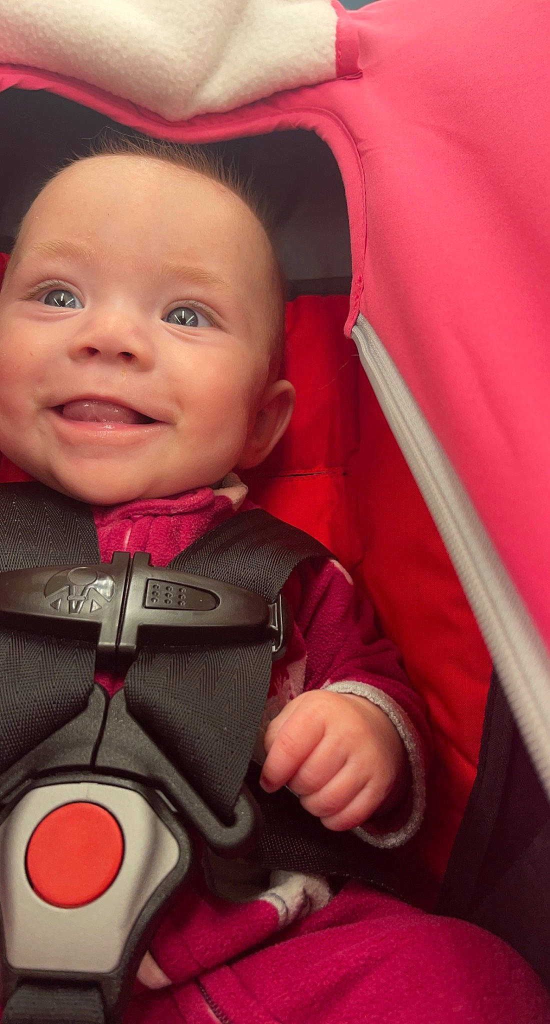 Karma joined the competition — help win amazing prizes! baby, baby_carriage, cheek, chin, comfort, cool, eyebrow, finger, happy, lifejacket, mouth, nose, outerwear, person, pink, product, seat_belt, skin, smile, textile