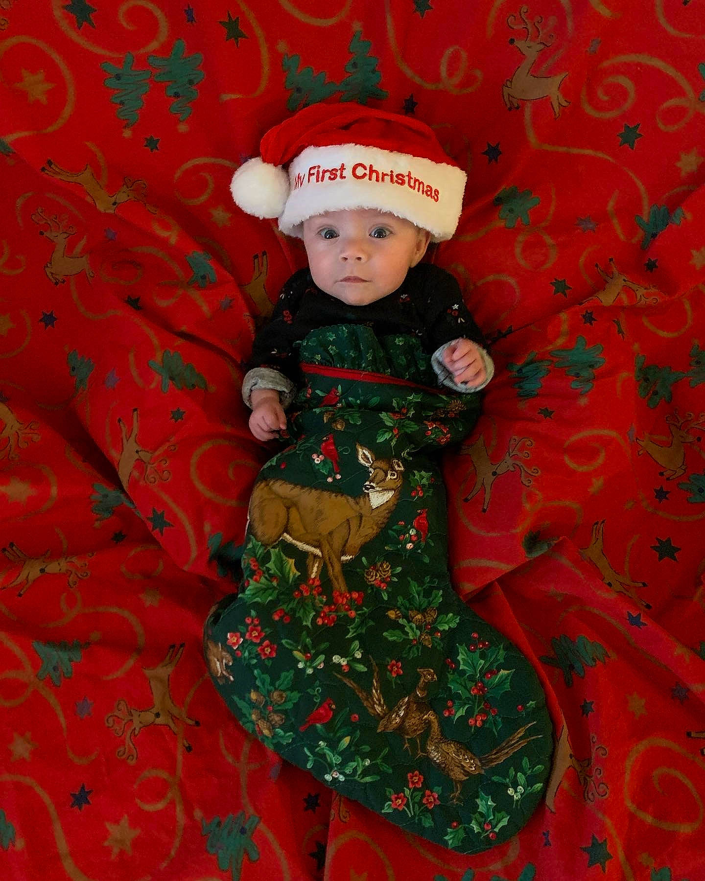 Karma is registered to the contest to win money with this photo: baby, baby_toddler_clothing, cap, carmine, child, costume_hat, dress, event, face, happy, headwear, leaf, magenta, pattern, person, pink, red, sleeve, textile, toddler