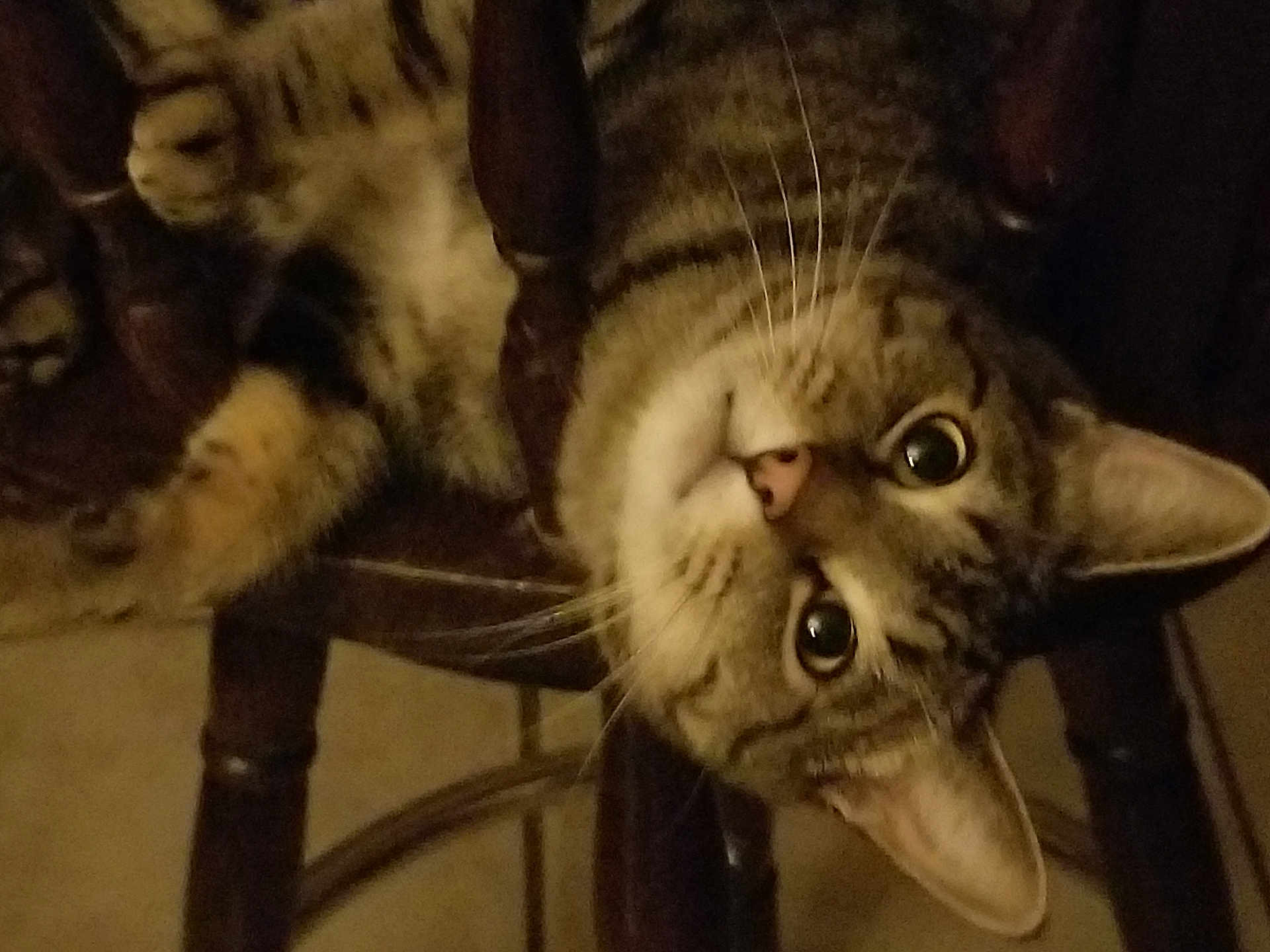 Marbles