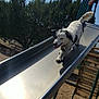 Snoop joined the competition — help win amazing prizes! animal, canine, daytime, dog, fence, fun, happy, leash, metal, metal_slide, outdoor, park, pet, play, playground, slide, sunny, tongue_out, trees, wood_chips