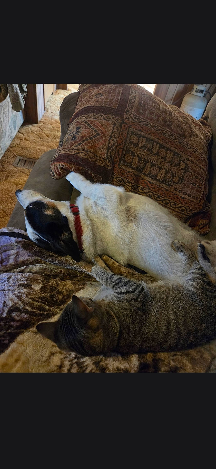 Snoop