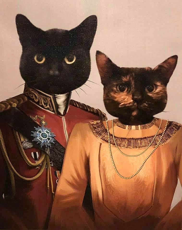 Effy joined the competition — help win amazing prizes! art, black_cat, carnivore, cat, costume_hat, domestic_short_haired_cat, event, felidae, fictional_character, fur, headgear, illustration, organ, personal_protective_equipment, sleeve, small_to_medium_sized_cats, snout, vest, visual_arts, whiskers