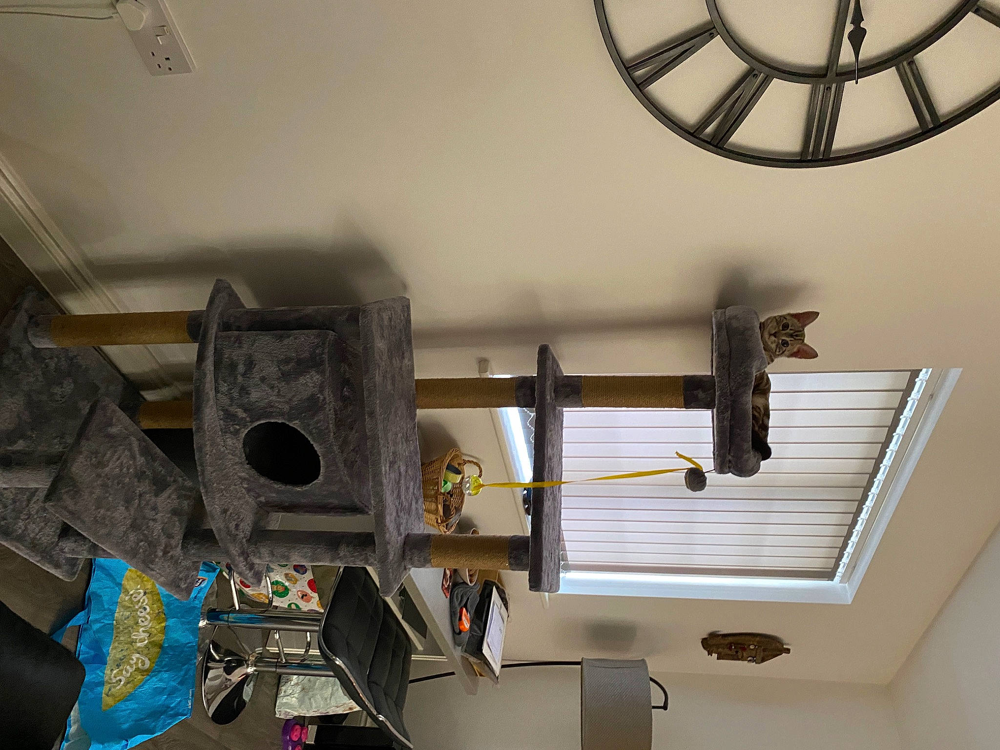 Buckworth joined the competition — help win amazing prizes! audio_equipment, building, ceiling, chandelier, floor, flooring, hardwood, house, interior_design, lighting, living_room, loudspeaker, room, shelf, shelving, stairs, wall, window, window_blind, wood