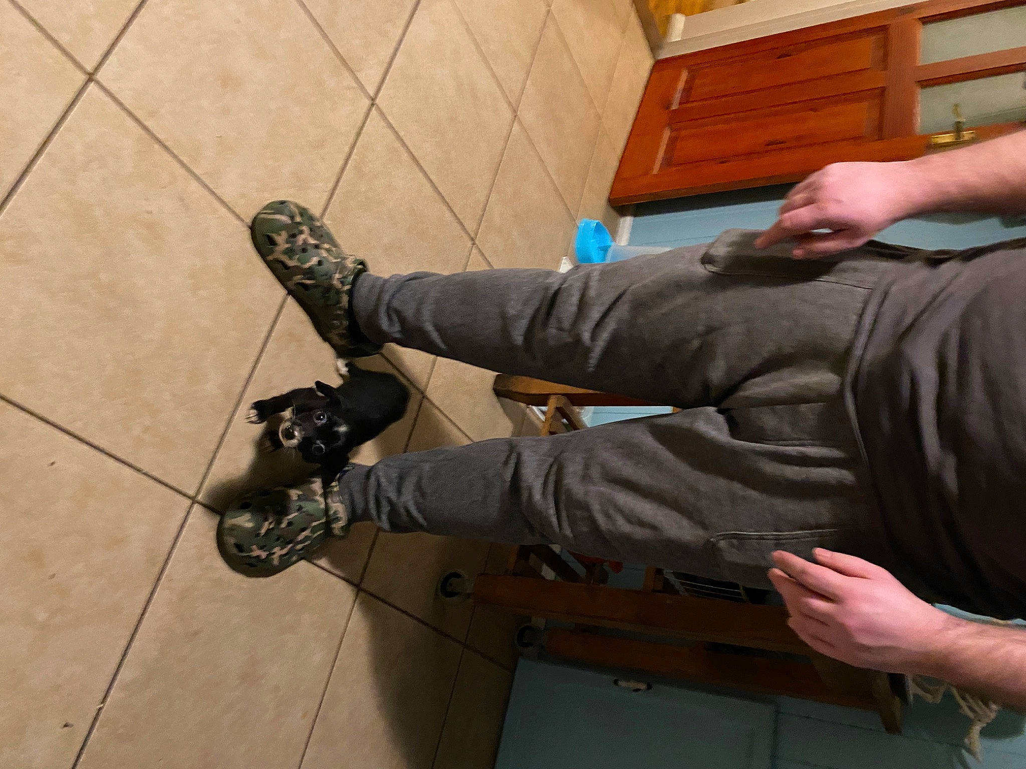 Luci joined the competition — help win amazing prizes! concrete, denim, elbow, electrical_supply, finger, flooring, gesture, glove, hardwood, outdoor_shoe, pattern, personal_protective_equipment, recreation, safety_glove, sleeve, thumb, wire, wood, wood_stain, wrist