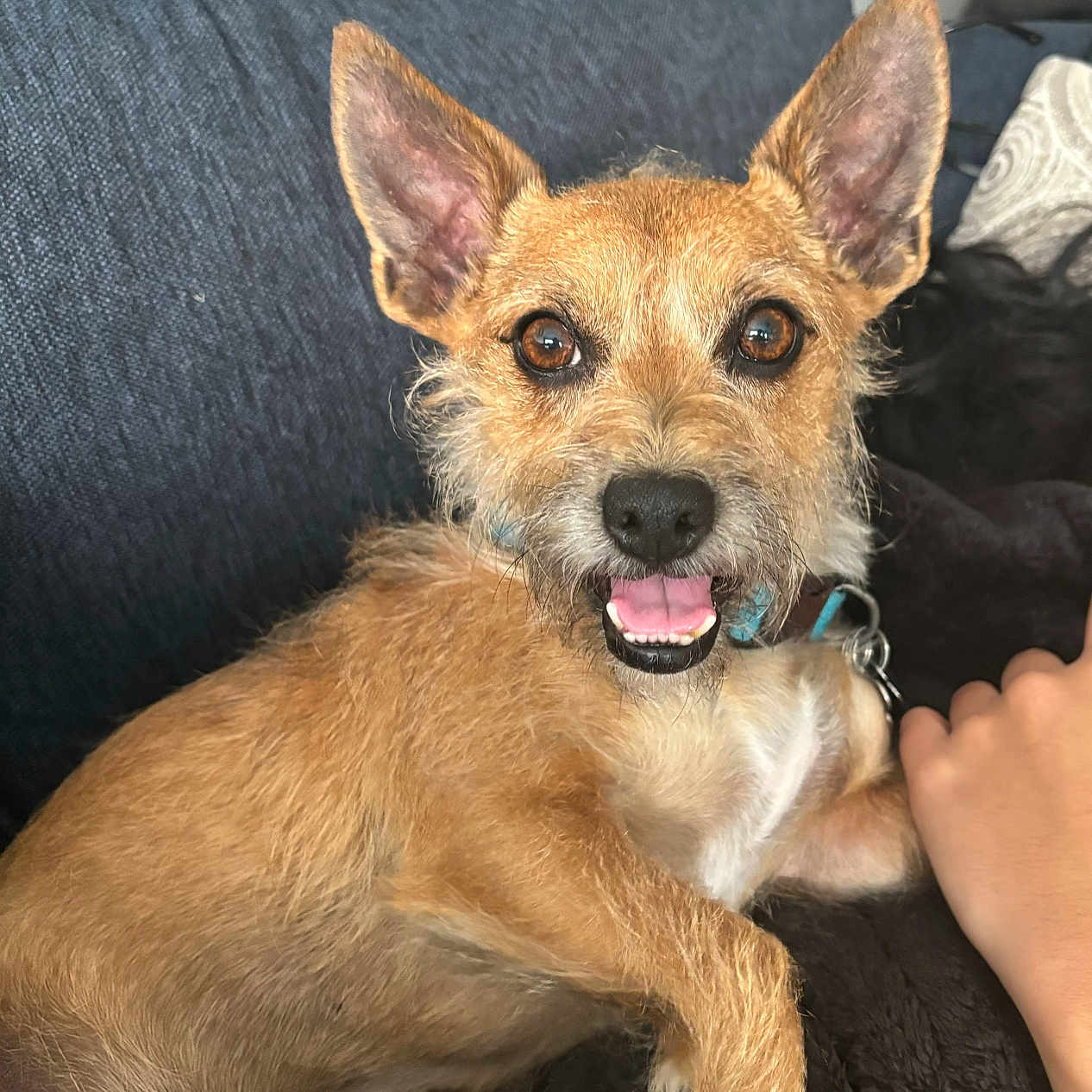Spunky