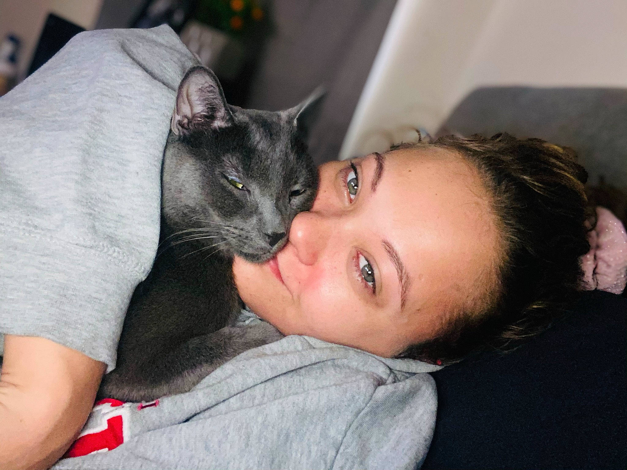 Ceaser is registered to the contest to win money with this photo: black_hair, carnivore, cat, comfort, dog_breed, domestic_short_haired_cat, ear, eyelash, fawn, felidae, fur, gesture, happy, jaw, leg, nose, skin, small_to_medium_sized_cats, smile, whiskers