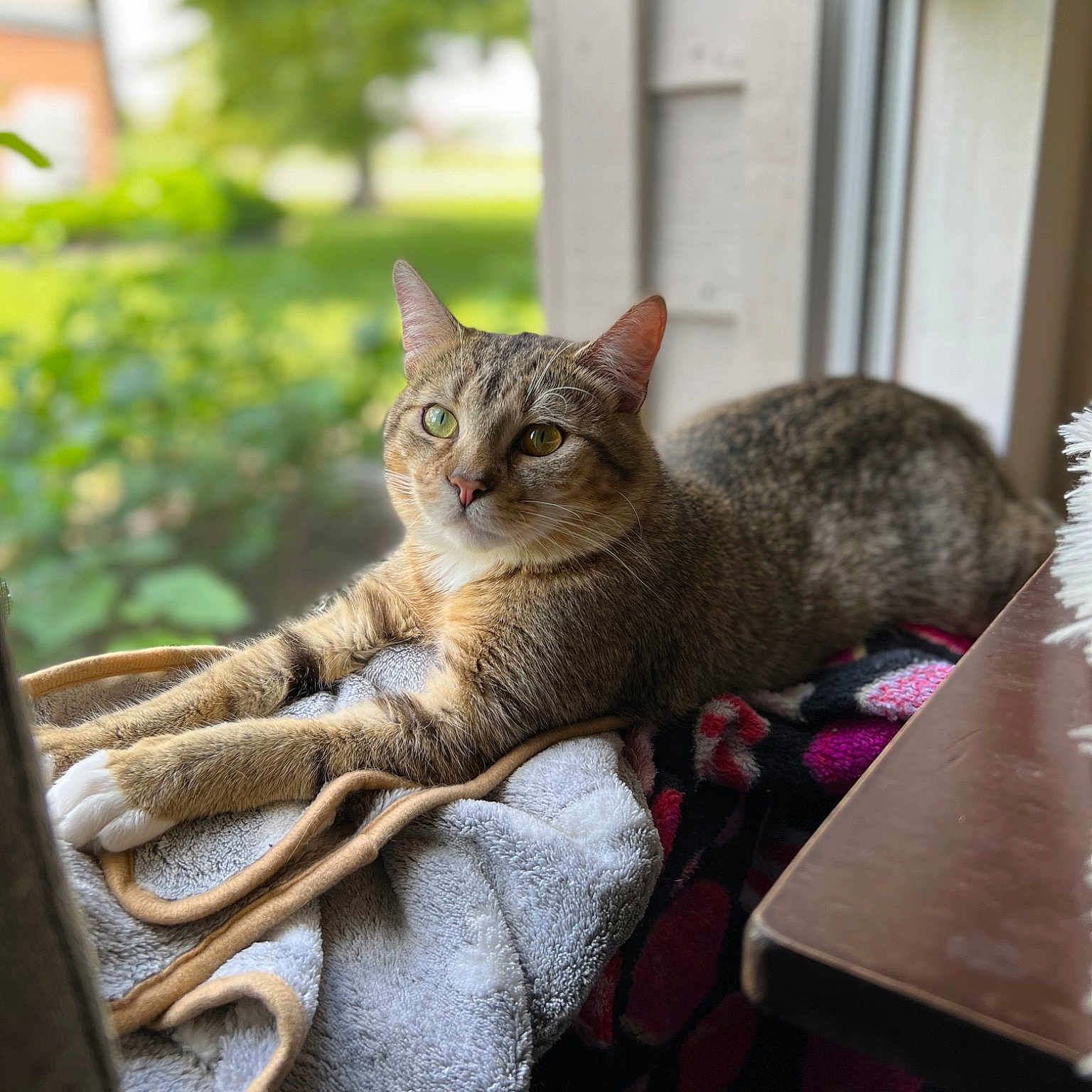 Carlos