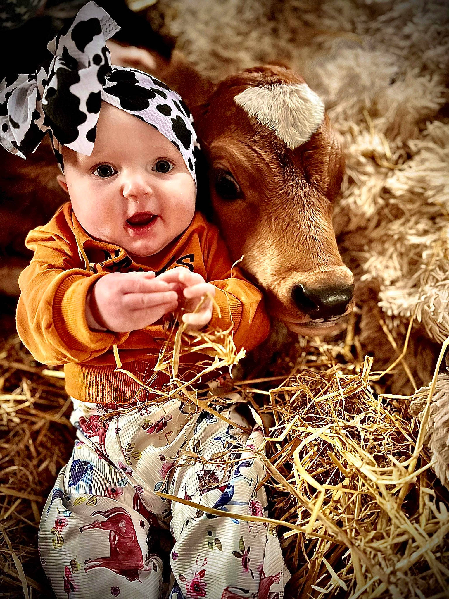 Willadean is registered to the contest to win money with this photo: baby, baby_toddler_clothing, child, eye, fawn, fur, grass, happy, hay, headwear, human_body, landscape, livestock, pasture, people_in_nature, person, portrait_photography, terrestrial_animal, toddler, tradition