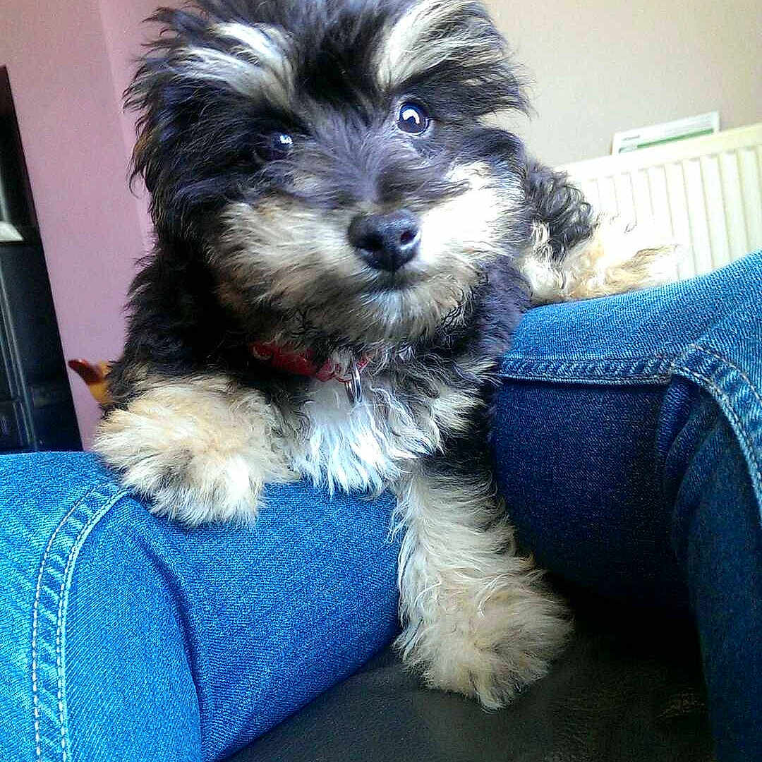 Lloyd joined the competition — help win amazing prizes!