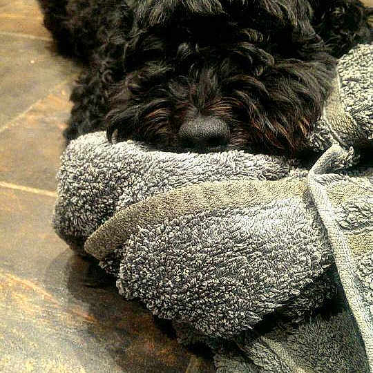 Iori joined the competition — help win amazing prizes!