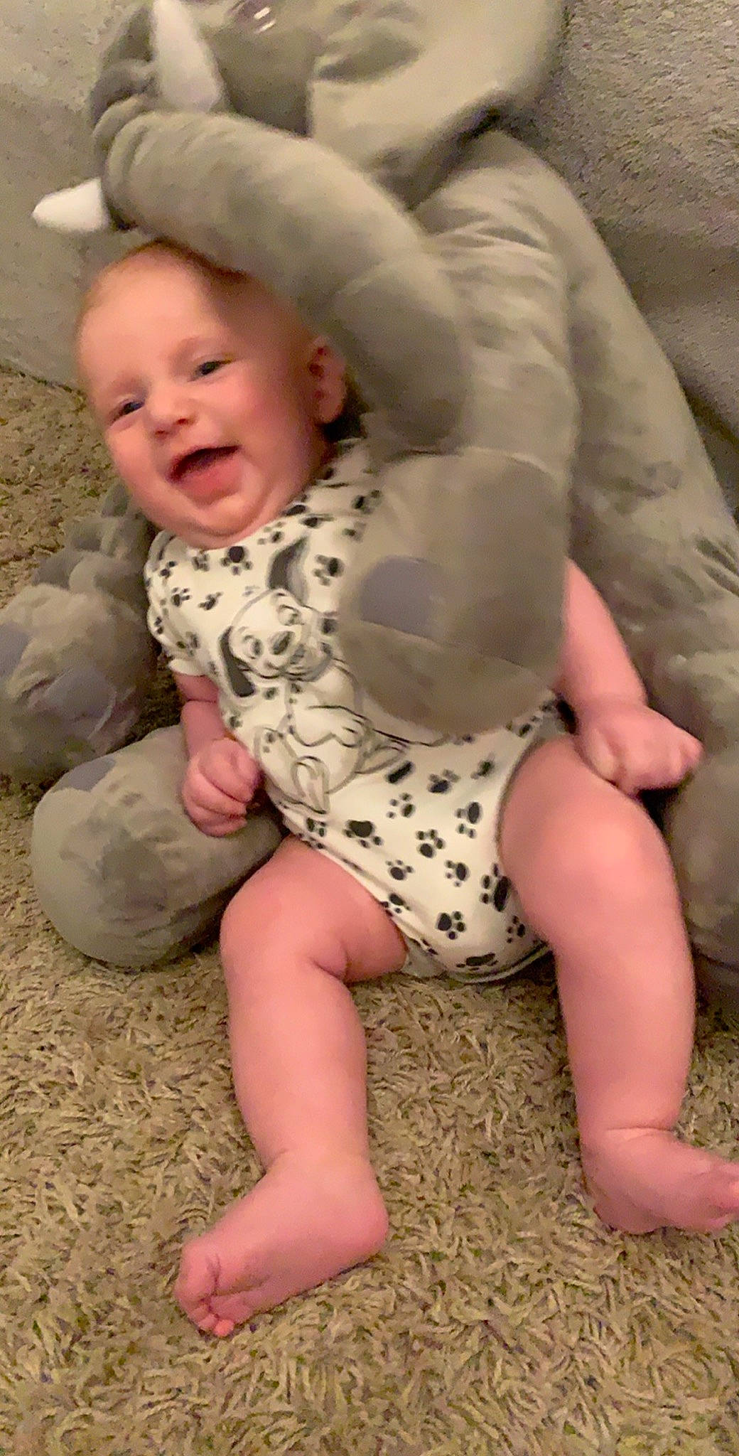 Brenton is registered to the contest to win money with this photo: arm, cheek, child, finger, girl, hand, head, human_hair_color, infant, leg, mouth, nap, person, product, sitting, skin, sleep, toddler