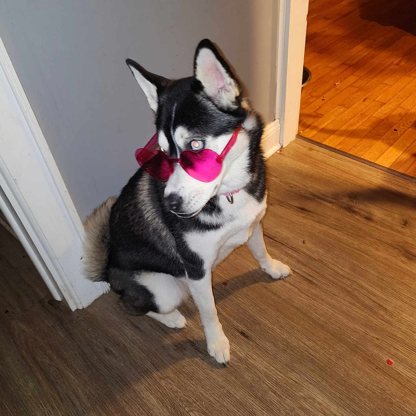Luna
