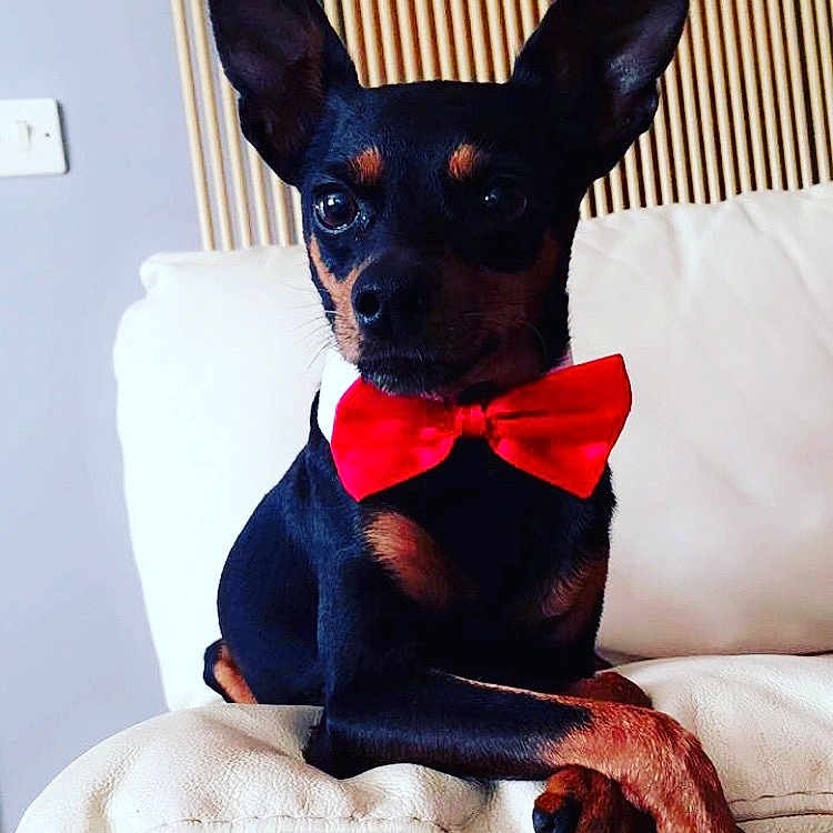 Tyson