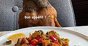 Odéon a rejoint le concours — aidez-le/la à gagner de superbes lots ! appetite, brown_dog, chair, cozy, curious, dining, dog, domestic, food, furniture, glass_decanter, indoor, meal, meat, pet, plate, rice, table, text_overlay, vegetables
