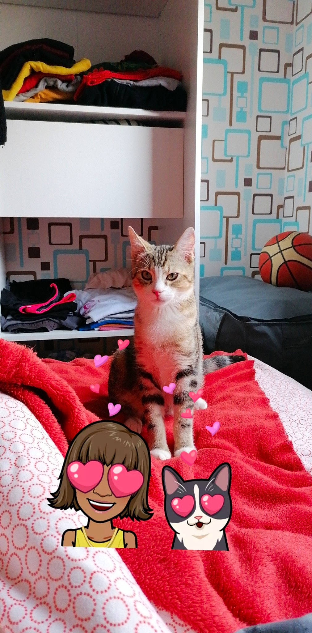 Pooky a rejoint le concours — aidez-le/la à gagner de superbes lots ! asian, carnivore, cat, cornish_rex, devon_rex, domestic_short_haired_cat, european_shorthair, fawn, felidae, interior_design, kitten, oriental_shorthair, pink, room, small_to_medium_sized_cats, whiskers