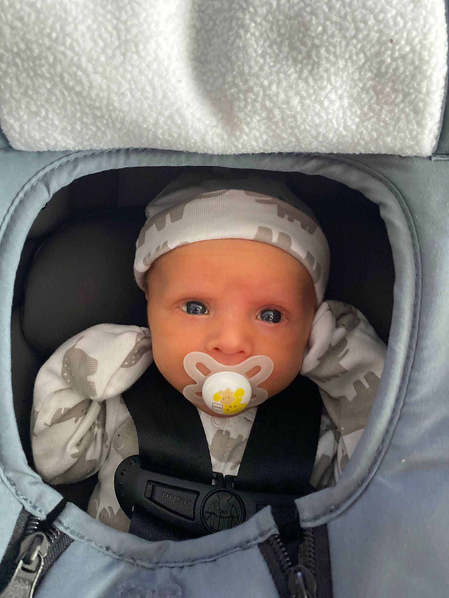 Eastyn joined the competition — help win amazing prizes! baby, baby_carriage, baby_in_car_seat, baby_products, baby_safety, baby_sleeping, baby_toddler_clothing, car_seat, cheek, child, comfort, helmet, mouth, nose, outerwear, person, product, sitting, toddler, toy
