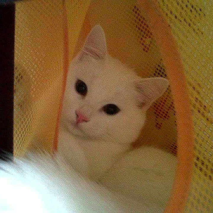 Lilly-Rose participe au concours pour gagner de l'argent avec cette photo :