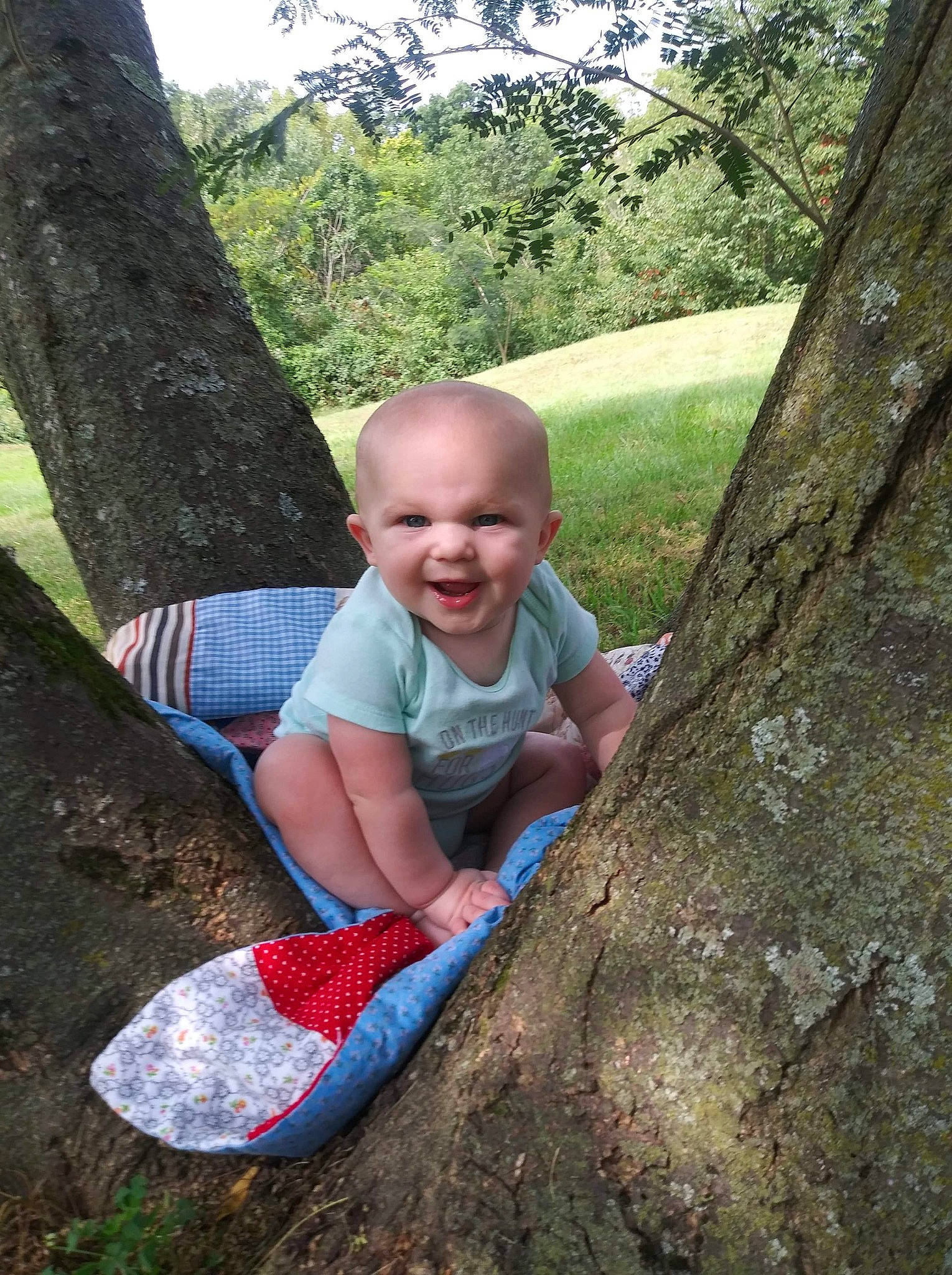 Liam is registered to the contest to win money with this photo: child, fun, grass, leaf, leisure, person, plant, play, recreation, rock, sitting, smile, summer, toddler, tree, trunk, vacation, woody_plant