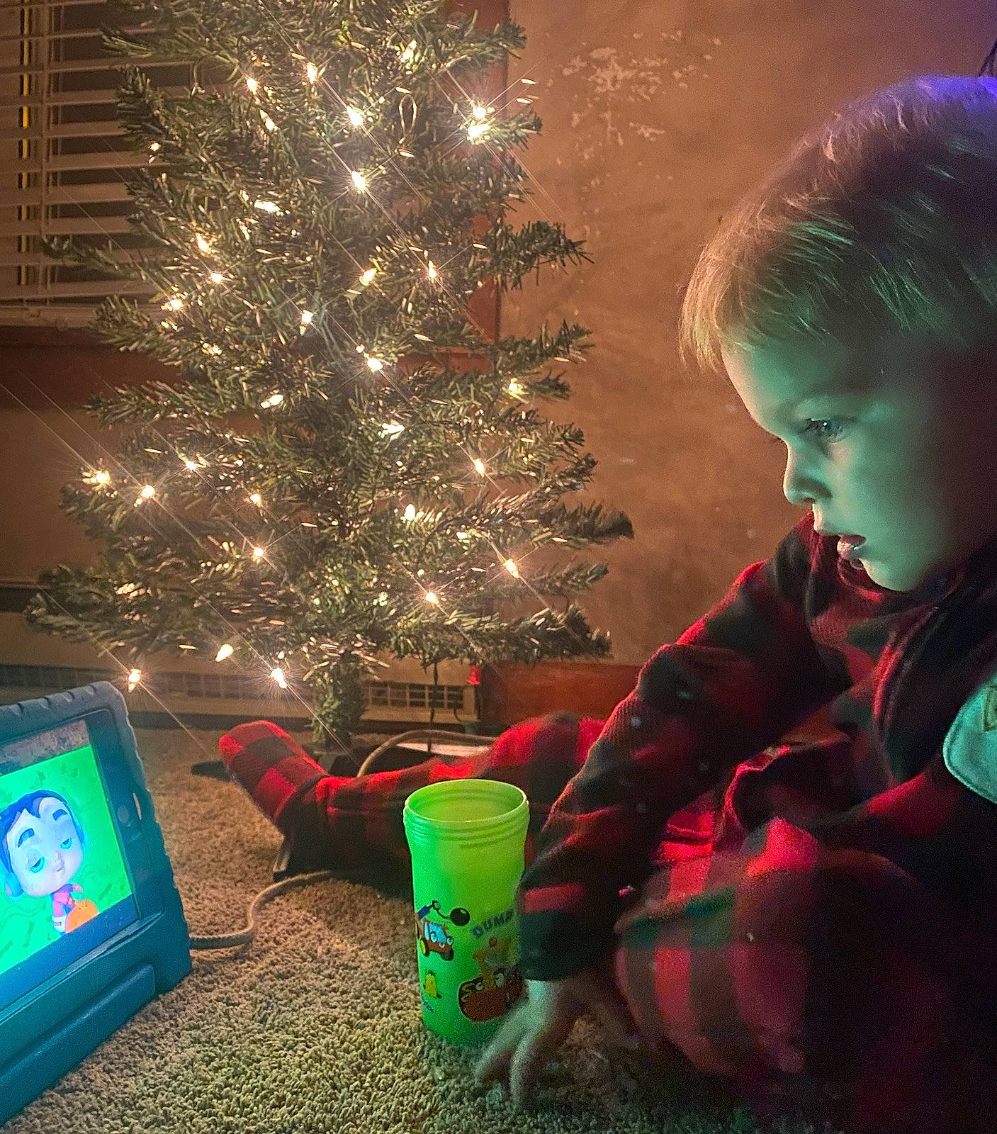Liam is registered to the contest to win money with this photo: christmas, christmas_decoration, christmas_eve, christmas_ornament, christmas_tree, conifer, event, evergreen, fun, green, happy, holiday, holiday_ornament, light, lighting, ornament, person, plant, standing, toddler