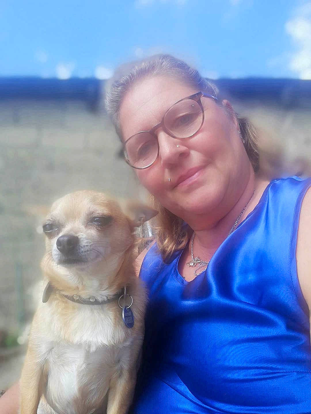 Marcelo participe au concours pour gagner de l'argent avec cette photo : blue, canidae, carnivore, chest, companion_dog, dog, dog_breed, electric_blue, eyewear, fawn, fun, glasses, happy, sky, snout, sporting_group, sunglasses, terrestrial_animal, travel, vacation