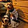 Rosie And Bella