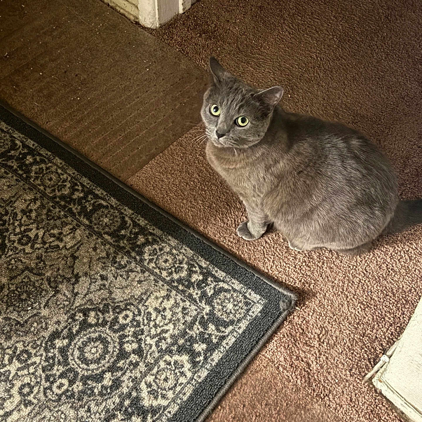Noonie