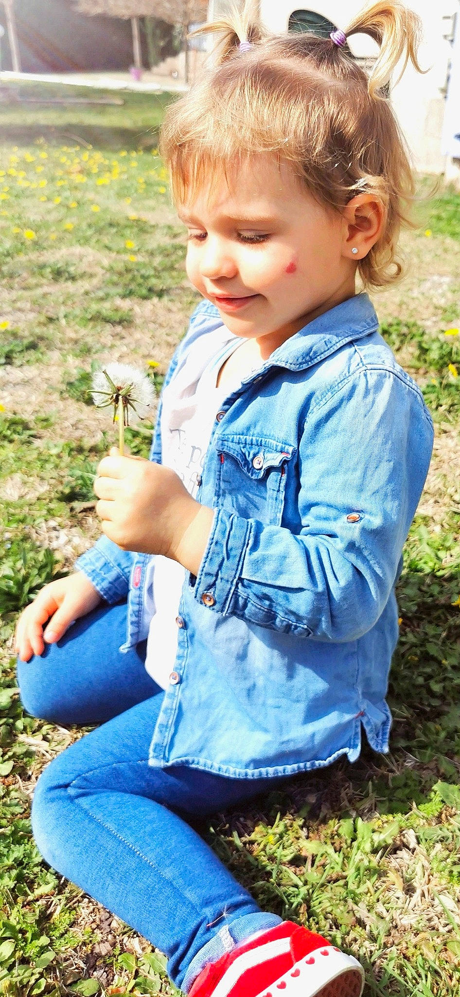 Elisa participe au concours pour gagner de l'argent avec cette photo : baby_toddler_clothing, blue, clothing, denim, eye, facial_expression, grass, grass_family, green, hairstyle, happy, jeans, meadow, people_in_nature, person, photograph, plant, sleeve, summer, t_shirt